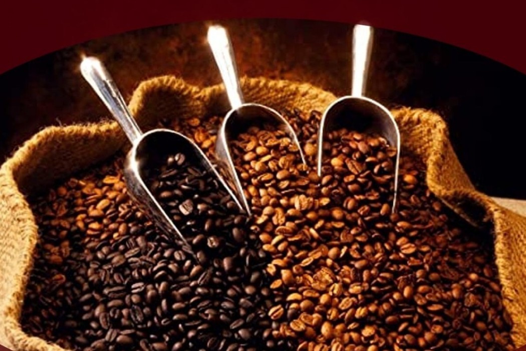 ભારતમાં કોફીની ખેતી ક્યારે શરૂ થઈ, તે કયા રાજ્યોમાં ઉગે છે ? જાણો 